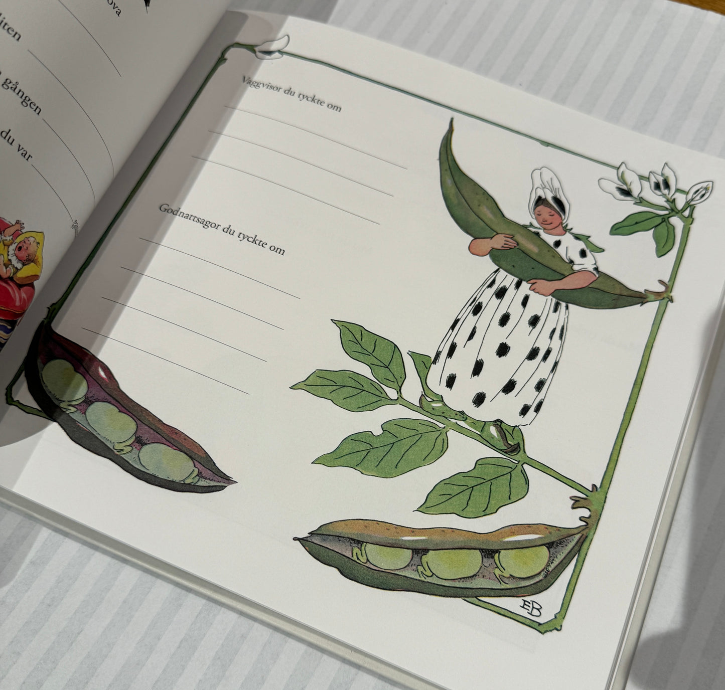 Mina första år - Elsa Beskow